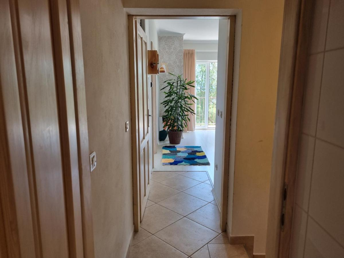 Apartment Ml Opatija カスタヴ エクステリア 写真