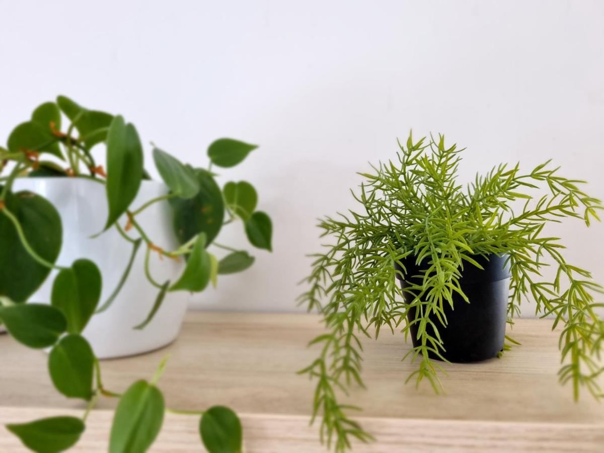 Apartment Ml Opatija カスタヴ エクステリア 写真